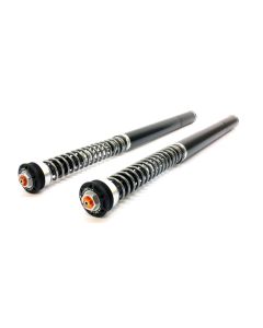 BMW R 12 G/S Fork Cartridge kit X-TREME